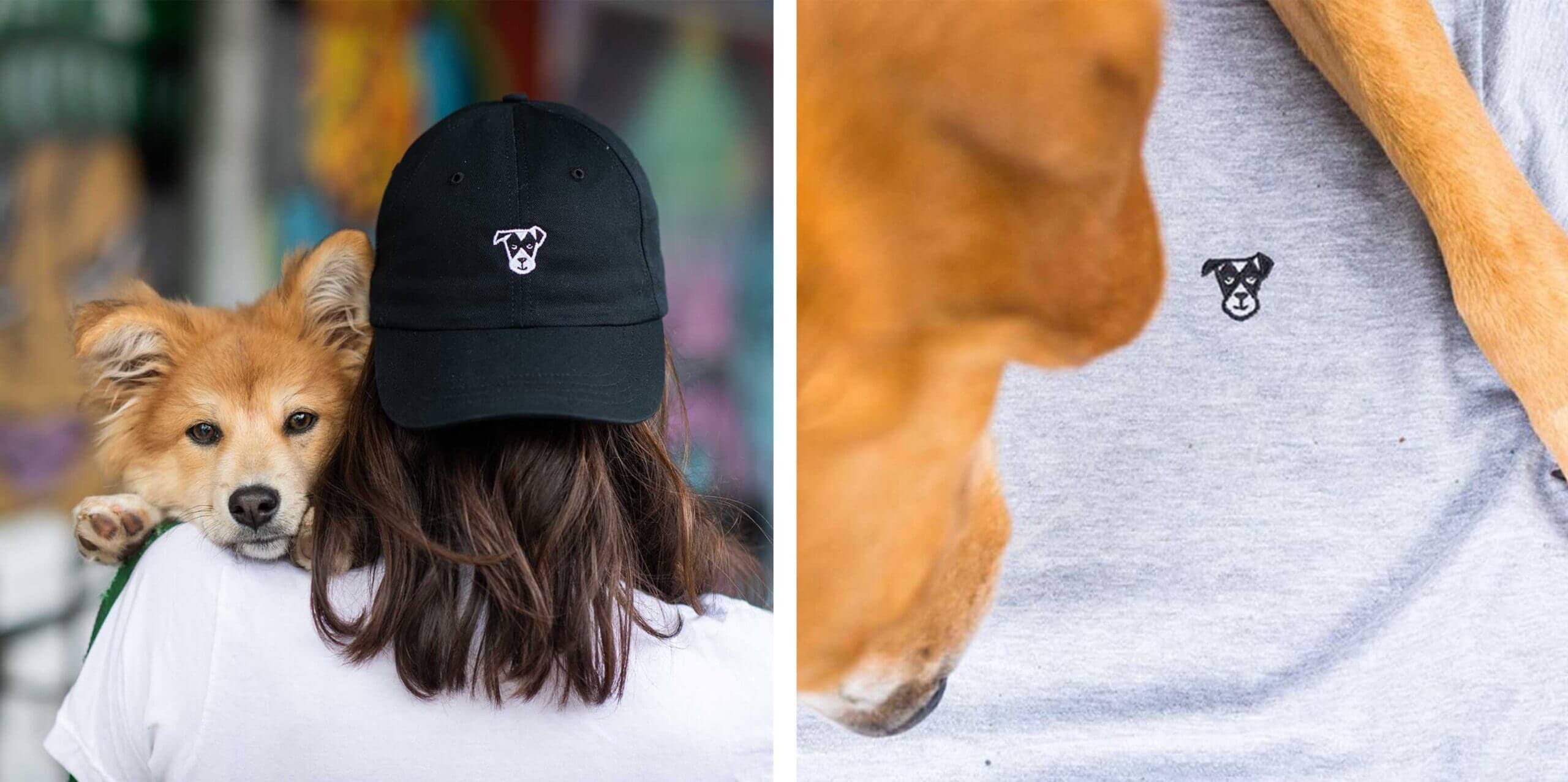 A collage of Dogish branded clothing