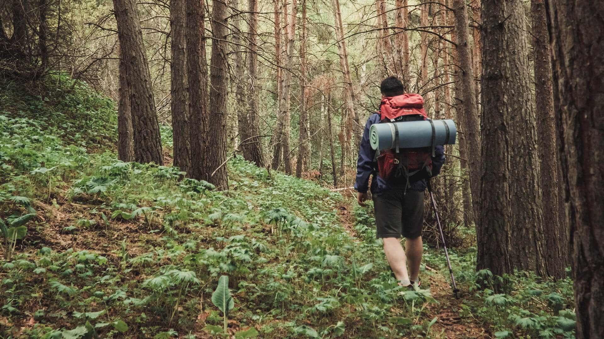 Man hiking through the woods with a hiking backpack and yoga mat